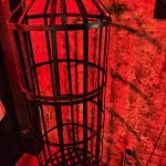 Publicación enviada por el usuario