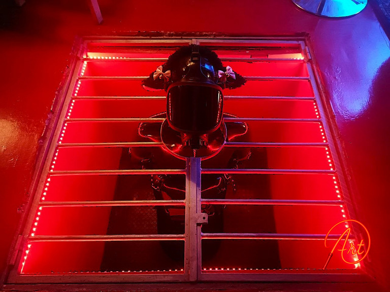 La drone ovejita (S-2709_Drone)