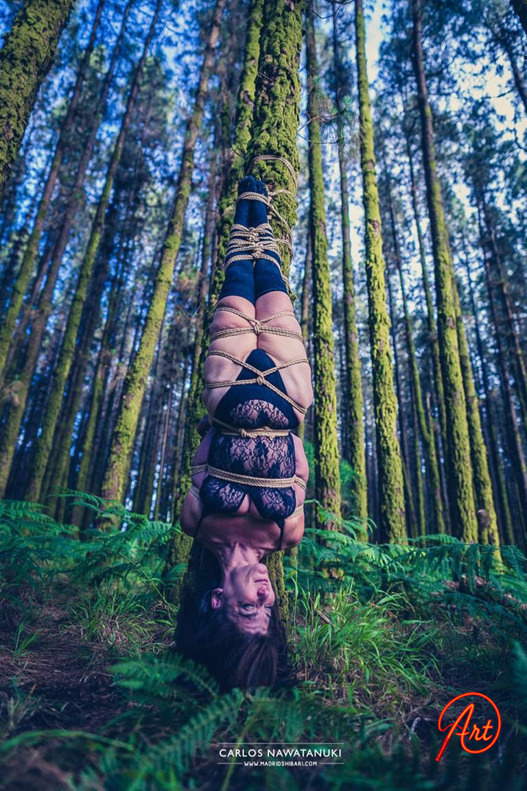 BIENVENIDA A NUESTRO BOSQUE (Gloria)